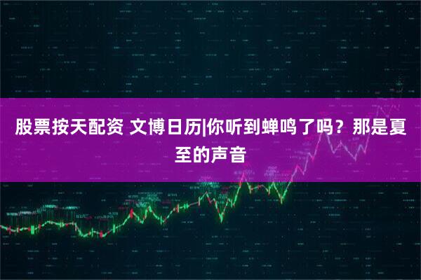 股票按天配资 文博日历|你听到蝉鸣了吗？那是夏至的声音