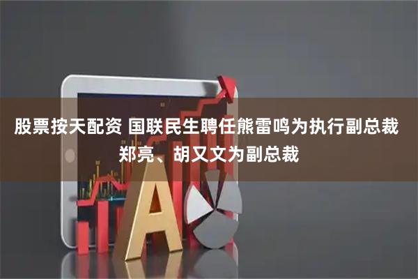 股票按天配资 国联民生聘任熊雷鸣为执行副总裁 郑亮、胡又文为副总裁